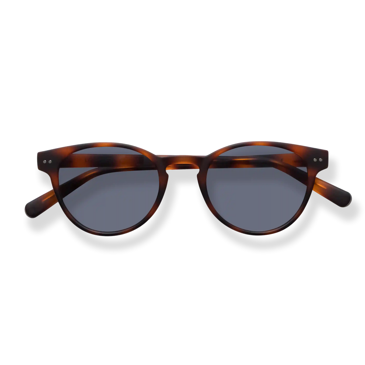 Abbey Sun Progressives