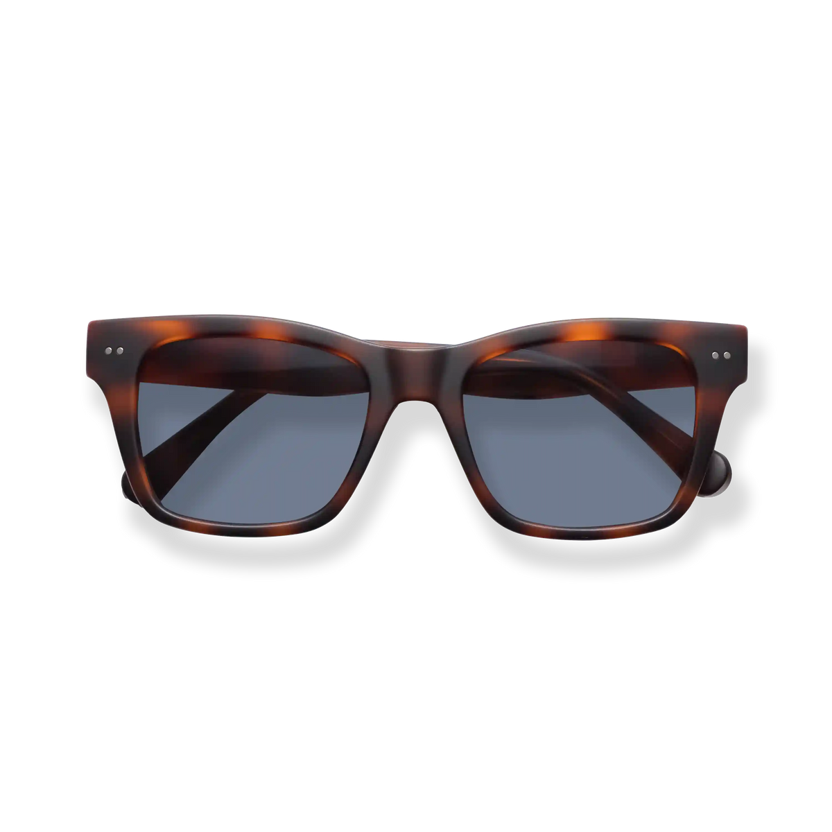 Cosmo Sun Progressives