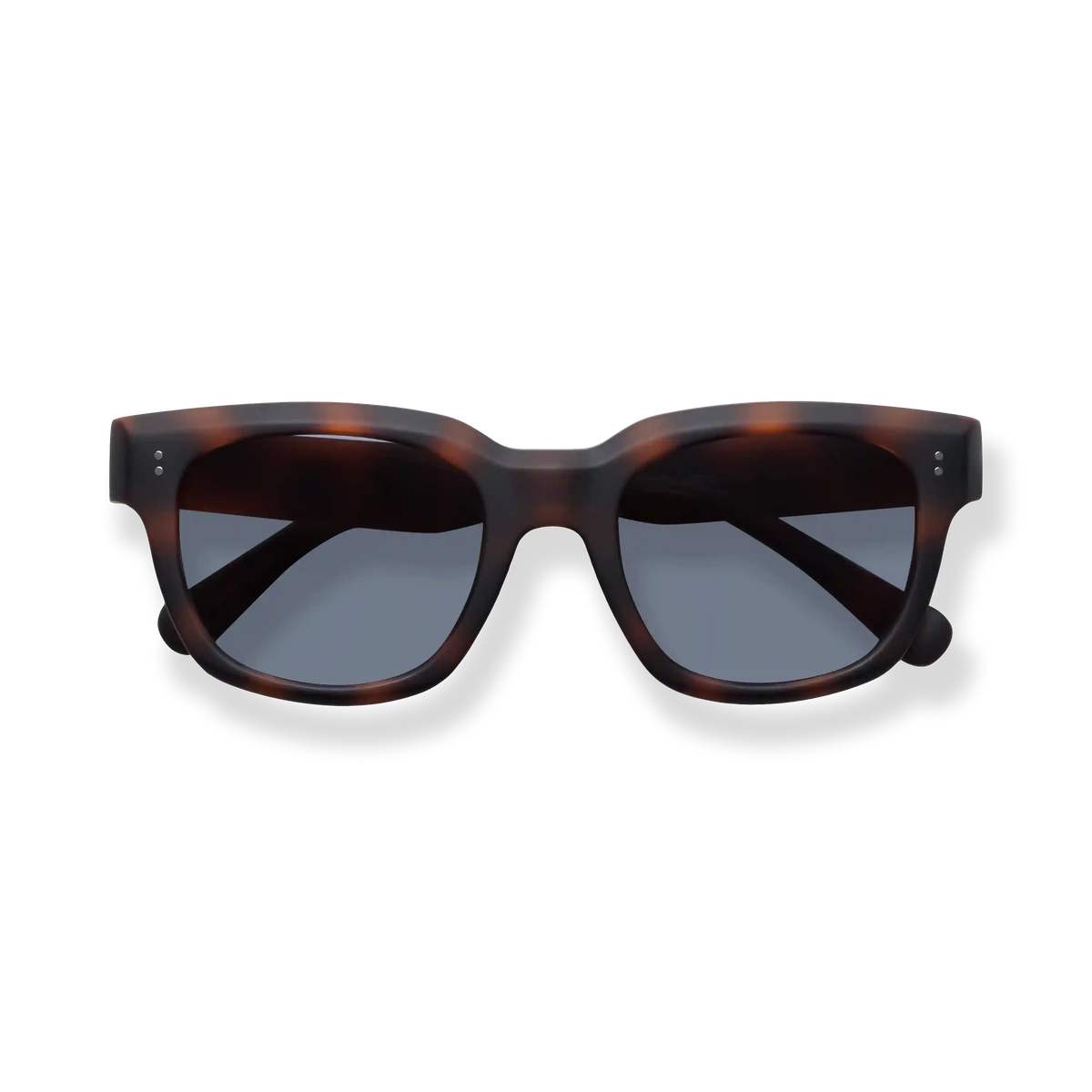 Kaine Sun Progressives