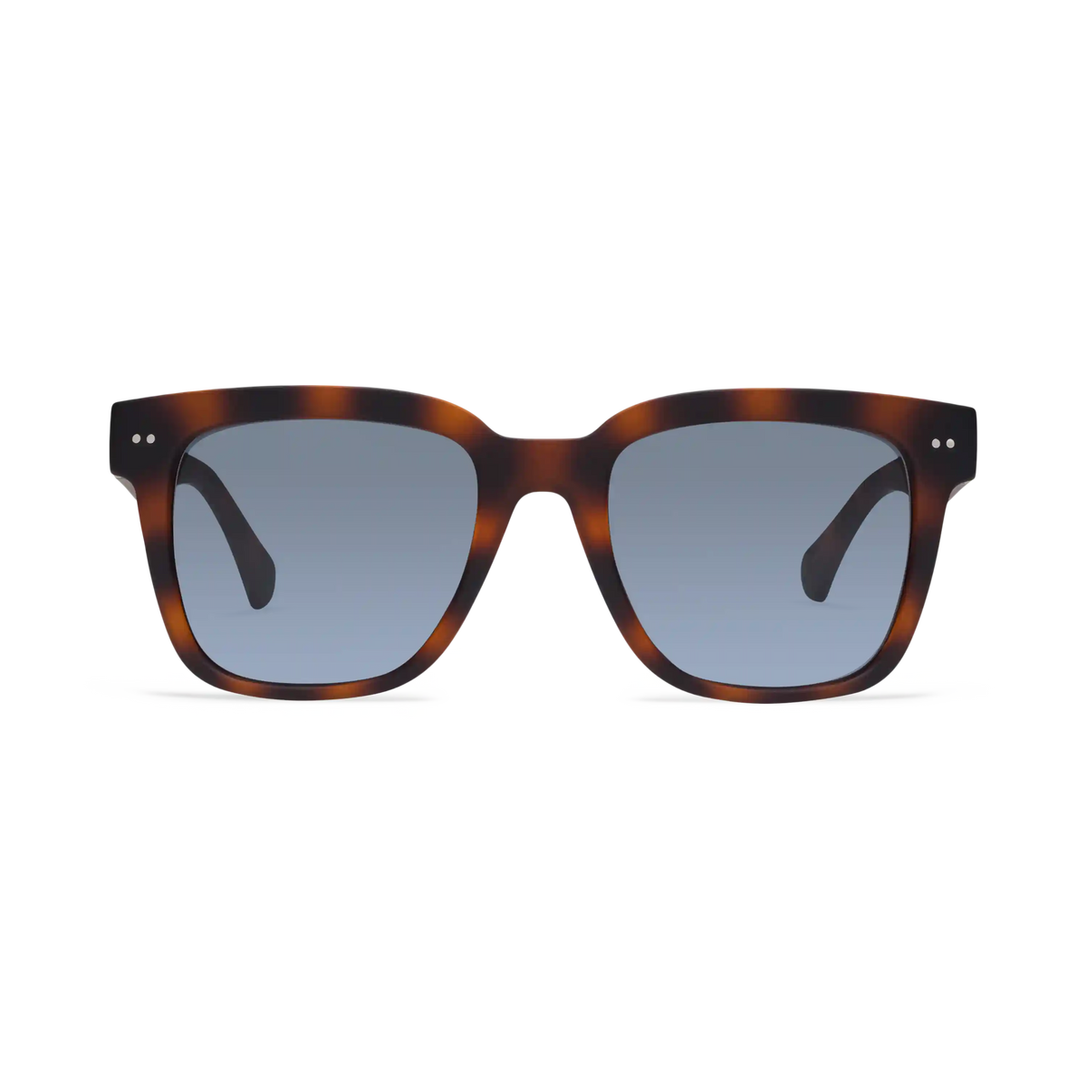 Laurel Sun Progressives
